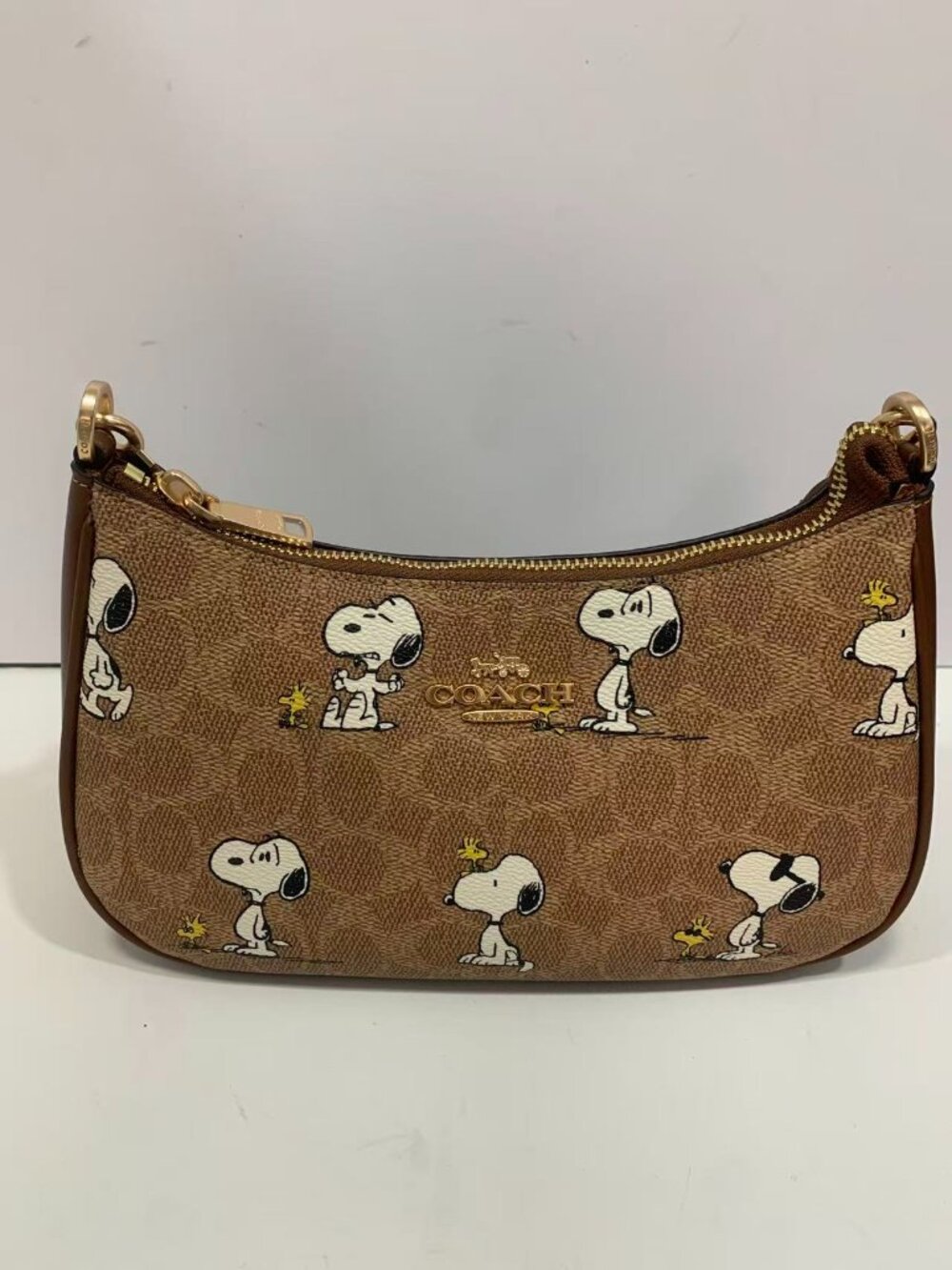 Coach Women's Brown Bag